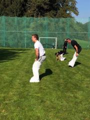 Srbske kmečke igre 3